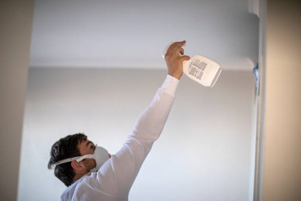 Best Mold Testing  in Bristol, WI