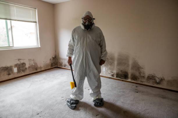Best Local Mold Removal Service  in Bristol, WI